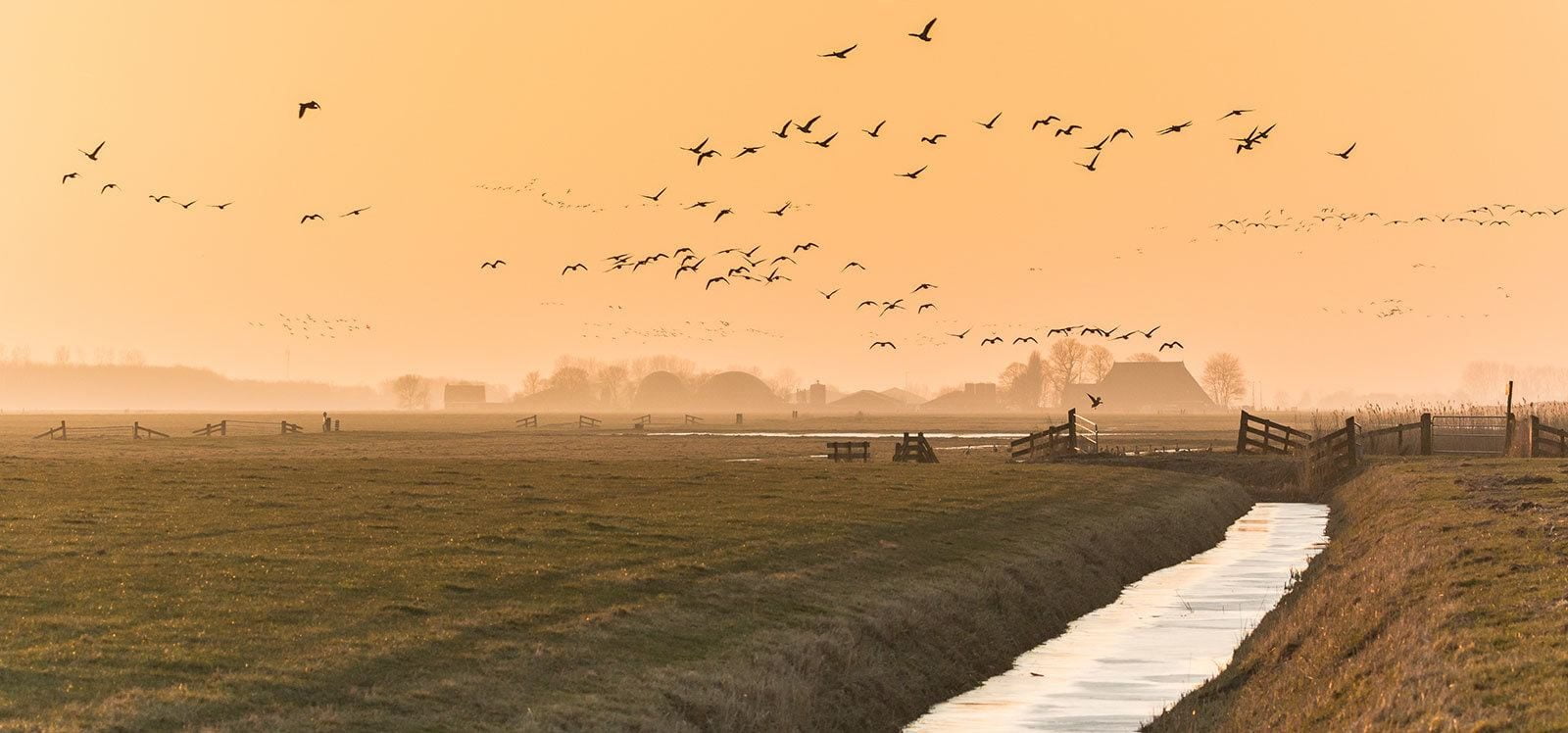 Ús Aengwirden Energie VanOns