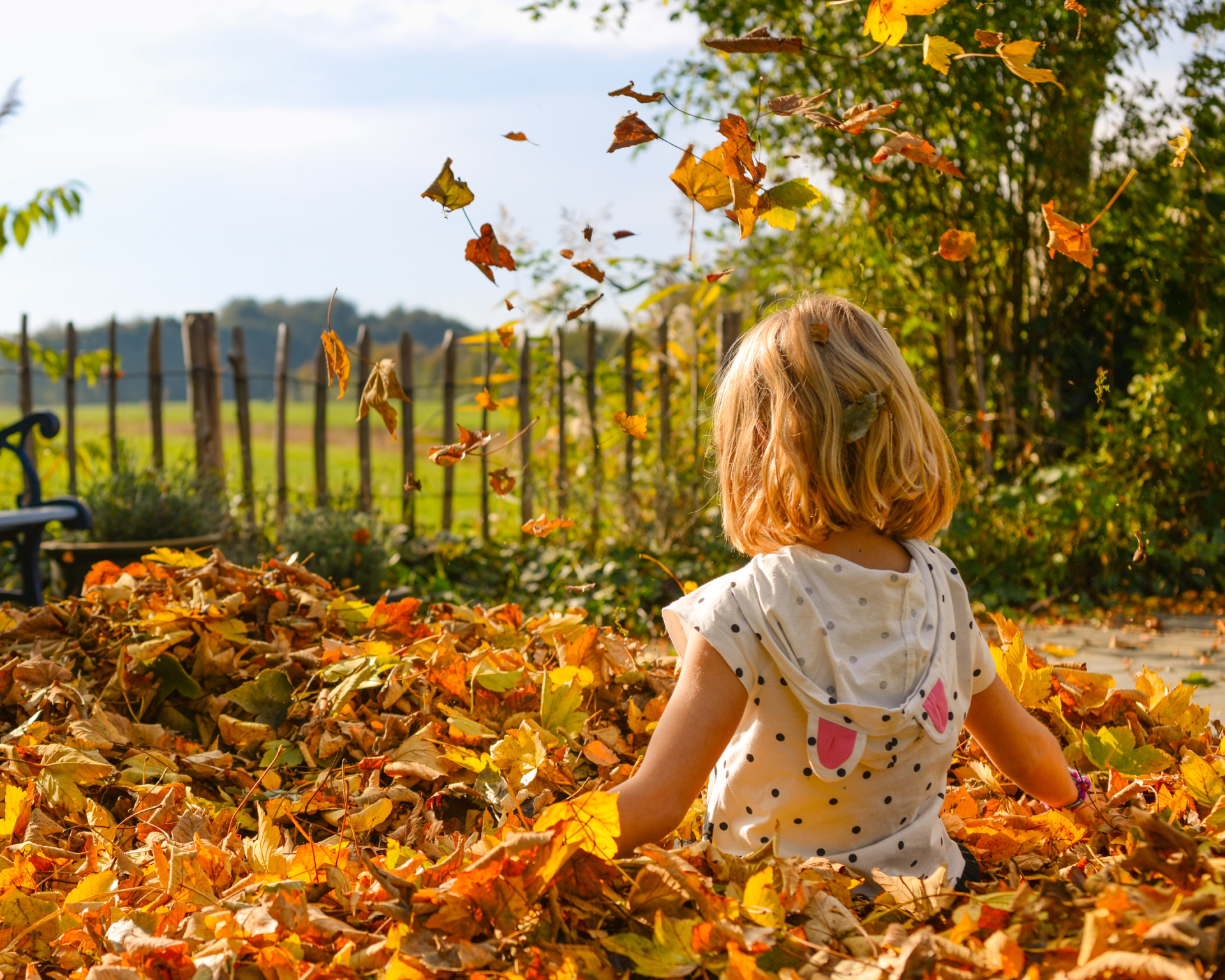 Duurzame herfsttips en energiebesparen in de herfst