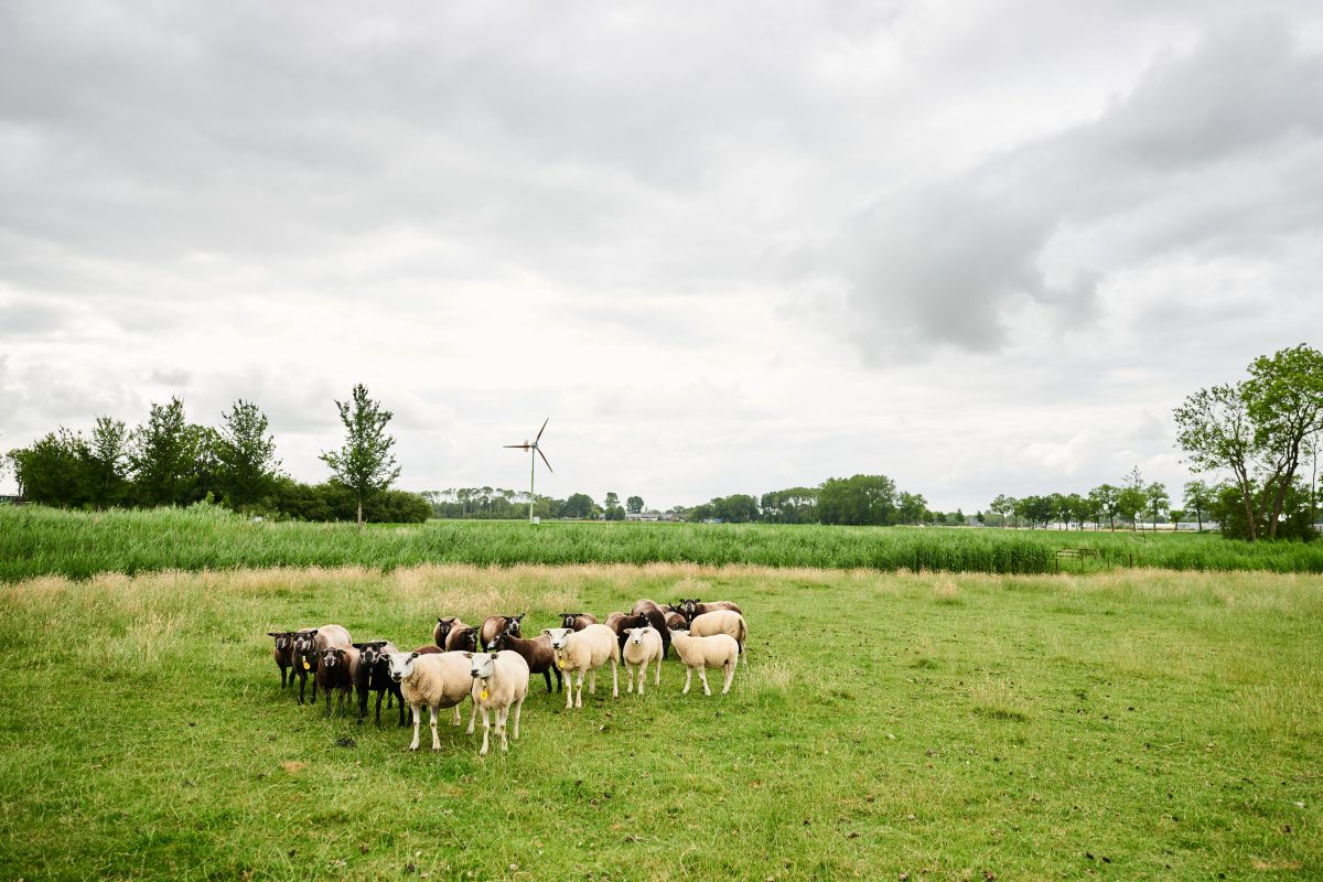 Wat kan je VanOns verwachten?