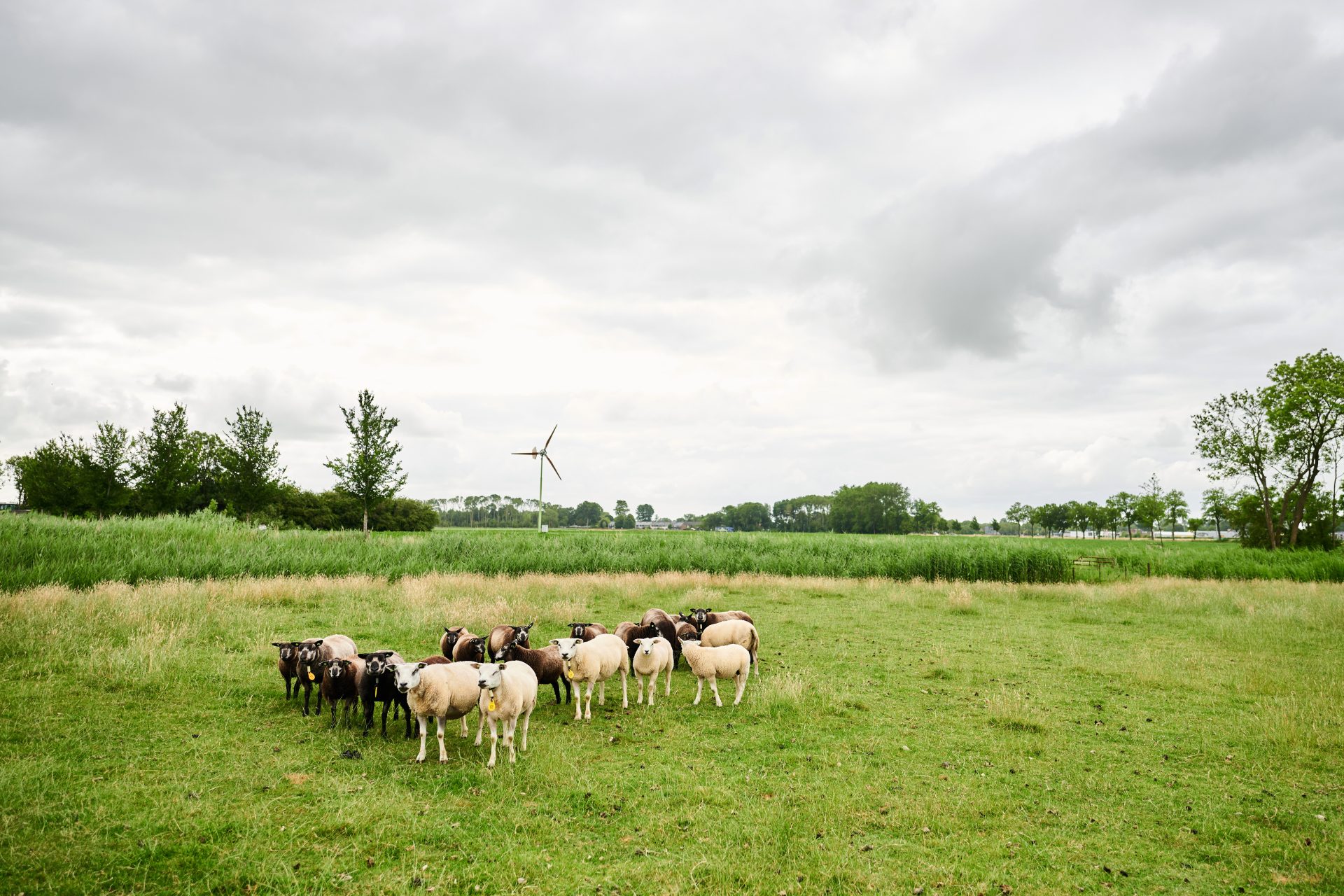 Wat kan je VanOns verwachten?