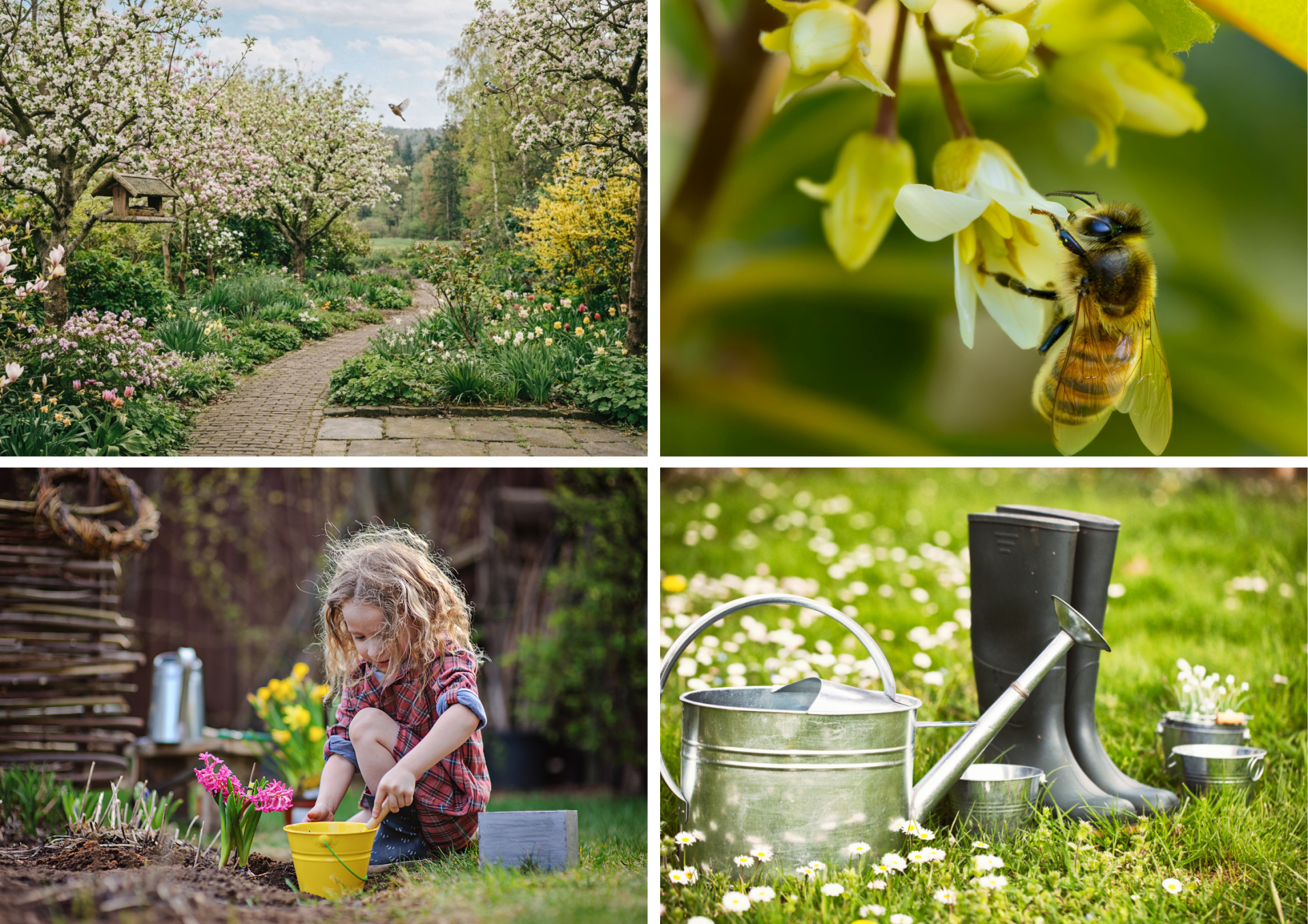 Duurzaam leven in de lente met tuinieren, bloemen en natuur